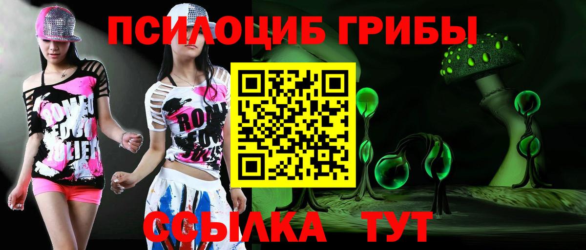 Петропавловск-Камчатский  Псилоцибиновые грибы Psilocybine cubensis  Вход с VPN  Галлюциногенные грибы GOLDEN TEACHER 